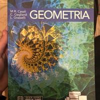 Libro geometria