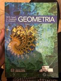 Libro geometria
