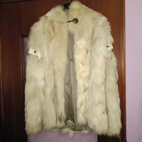 Pelliccia