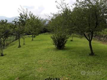 Terreno con edificabilità + rustico