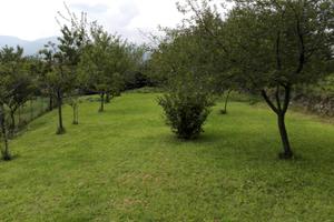 Terreno con edificabilità + rustico