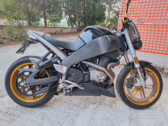Buell xb12s Vendita in Moto e scooter