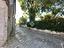 Immagine 7