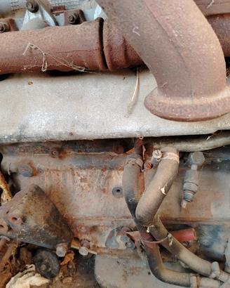 motore iveco Daily 49.12