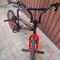 Bmx  bicolor
