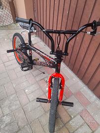 Bmx  bicolor