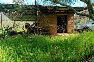 Blera (Viterbo) Uliveto + Casale+ terreno