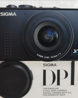 SIGMA DP1