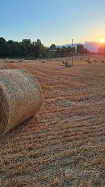 Paglia di grano 