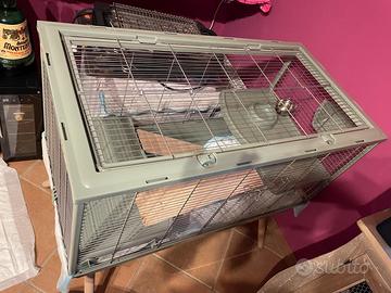 Gabbia coniglio due piani
