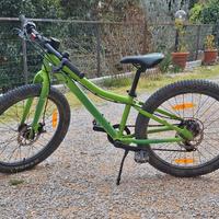 Scott Roxter 24 