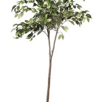 PIANTE Finte NUOVE  Alta Qualità  (Molti Pz.)