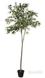 PIANTE Finte NUOVE  Alta Qualità  (Molti Pz.)