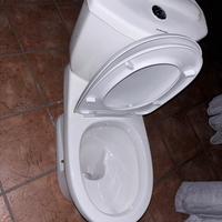 Wc con sciacquone
