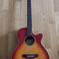 Takamine G series