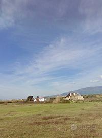 Terreno agricolo CON CAPANNONE