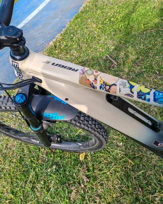 Ebike Giant reign e