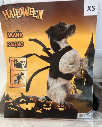Travestimento cane XS ragno Halloween
