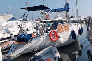 Barca a vela Stag 38