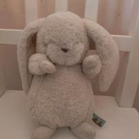 Peluche di coniglietto