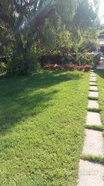 Meravigliosa villetta estiva immersa nel verde