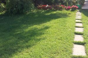 Meravigliosa villetta estiva immersa nel verde