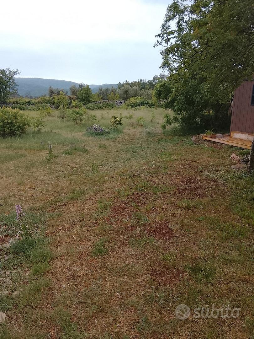 TERRENO 1250 mq recintato a San Michele del Carso - Altro