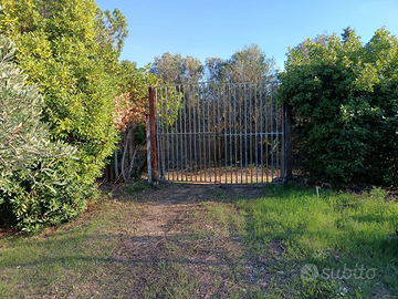 Terreno agricolo piantumato