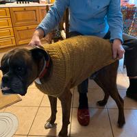 Cappottini lana cani fatti a mano