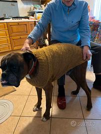 Cappottini lana cani fatti a mano