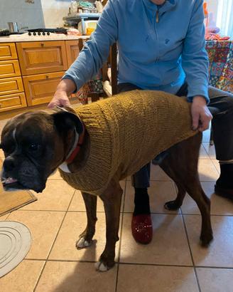 Cappottini lana cani fatti a mano