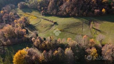 TER. AGRICOLO A CHIAMPO