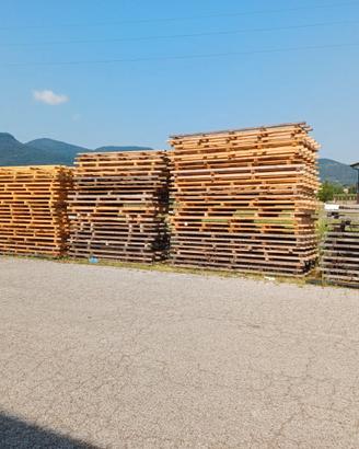 Bancali grandi