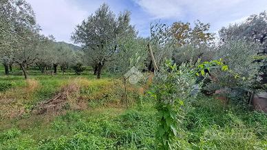 TER. AGRICOLO A CAVA DE' TIRRENI