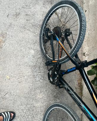 Bici nsr 24