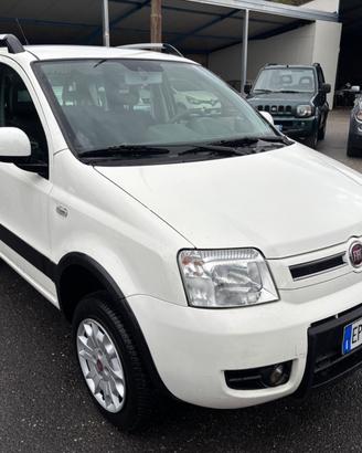 Fiat Panda 1.3 MJT 16V DPF 4x4 Climbing
