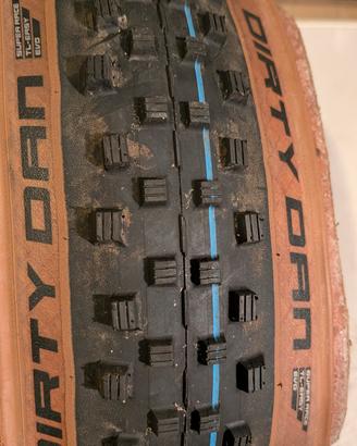 schwalbe dirty dan 29 x 2.0 super race