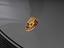 Immagine 23