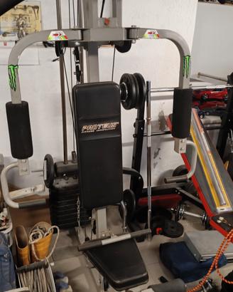 palestra proteus