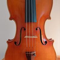 Viola Mario Capicchioni 1986