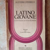 Libro "Latino Giovane" - Alfonso D'Errico - 1974