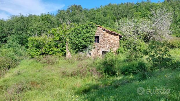 TER. AGRICOLO A PIETRABRUNA