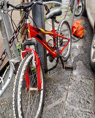 bici 24 