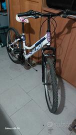 Bicicletta ragazza