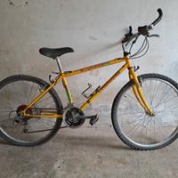Biciclette da corsa e Mountain Bike