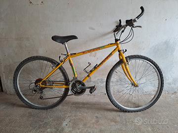 Biciclette da corsa e Mountain Bike