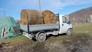 Fieno per Orto o Lettiera