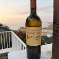 bottiglia di vino rara