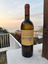 bottiglia di vino rara