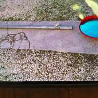 specchio  parabolico  con  palo